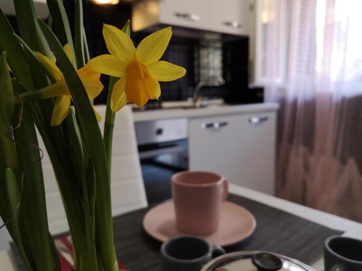 La Casaffittiera Apartments Group 安齐奥 外观 照片